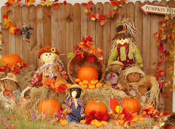 18 Best Fall Activities For Your Family - Munamommy